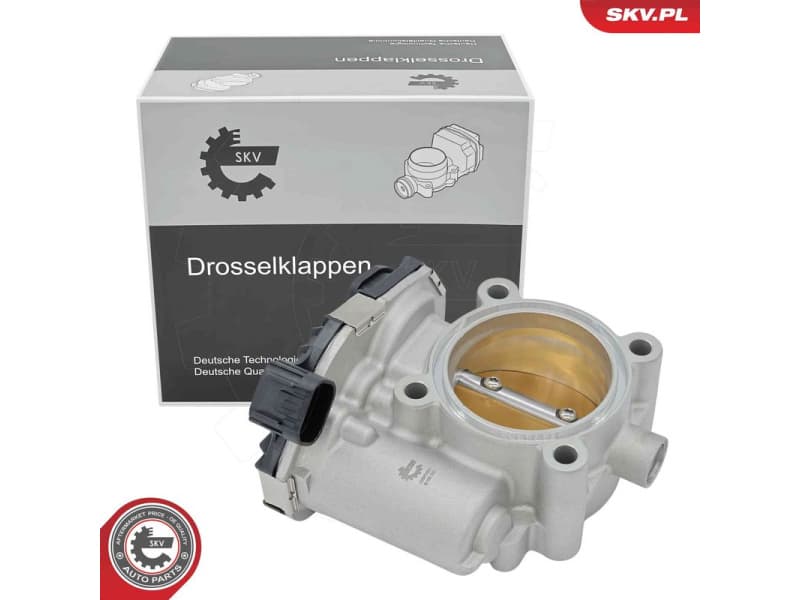 Throttle Body 12SKV201