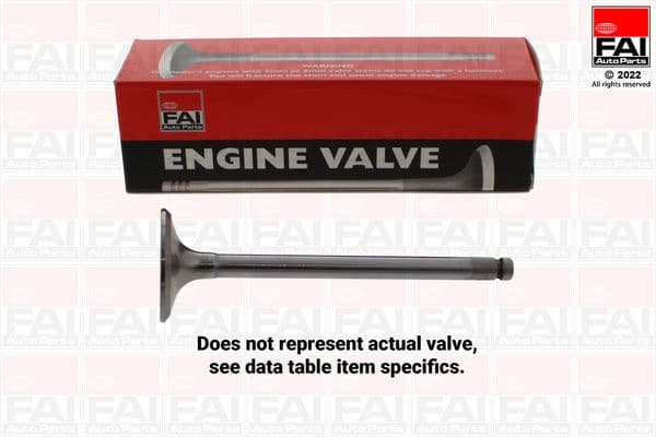Intake Valve IV171036