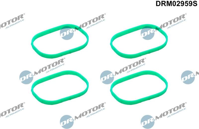 Gasket Set, intake manifold DRM02959S