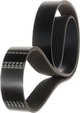 V-ribbed Belt VKMV 8PK1122 R
