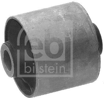 Mounting, control/trailing arm 10291