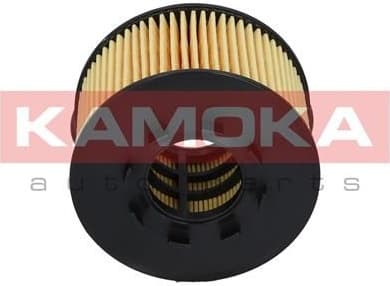 Filter oil F103001 - image 2