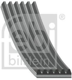 V-ribbed Belt 1001014