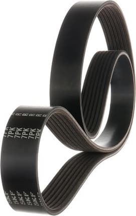 V-ribbed Belt VKMV 7PK1072 R