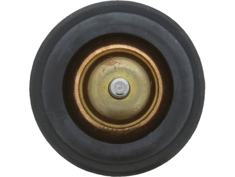 Thermostat, coolant 973-97INSK - image 4