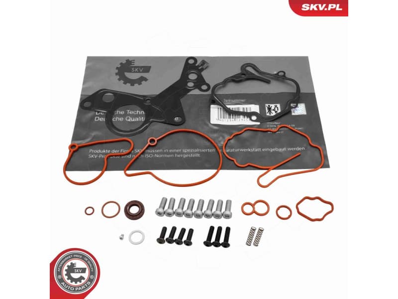 Repair Set, vacuum pump (braking system) 97SKV221