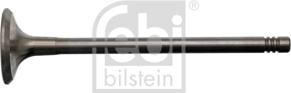Exhaust Valve 17389