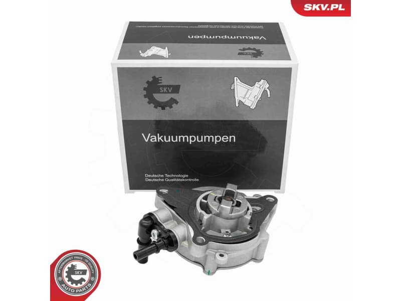 Vacuum Pump, braking system 18SKV090