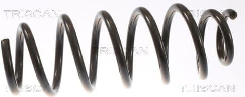 Suspension Spring 8750 8101