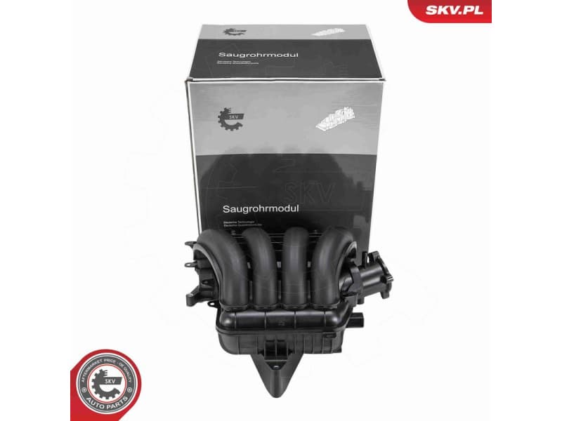 Intake Manifold Module 49SKV103