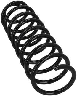 Suspension Spring 2120251 - image 4