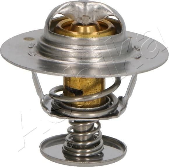 Thermostat, coolant 38-08-806