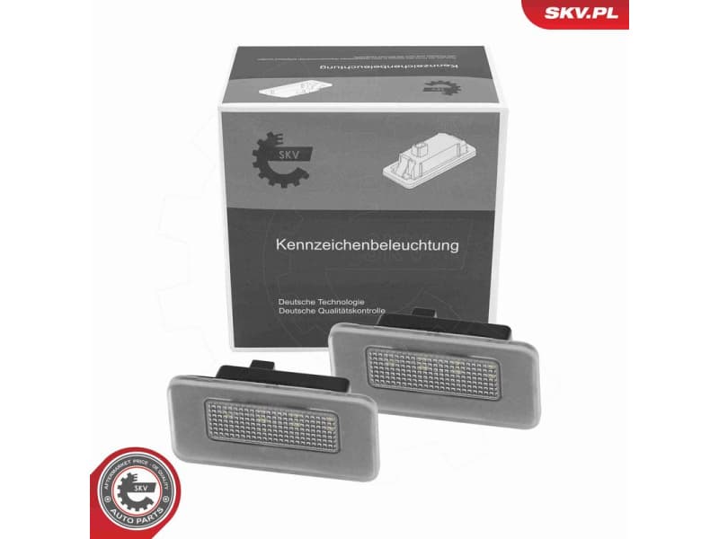 Licence Plate Light 72SKV593