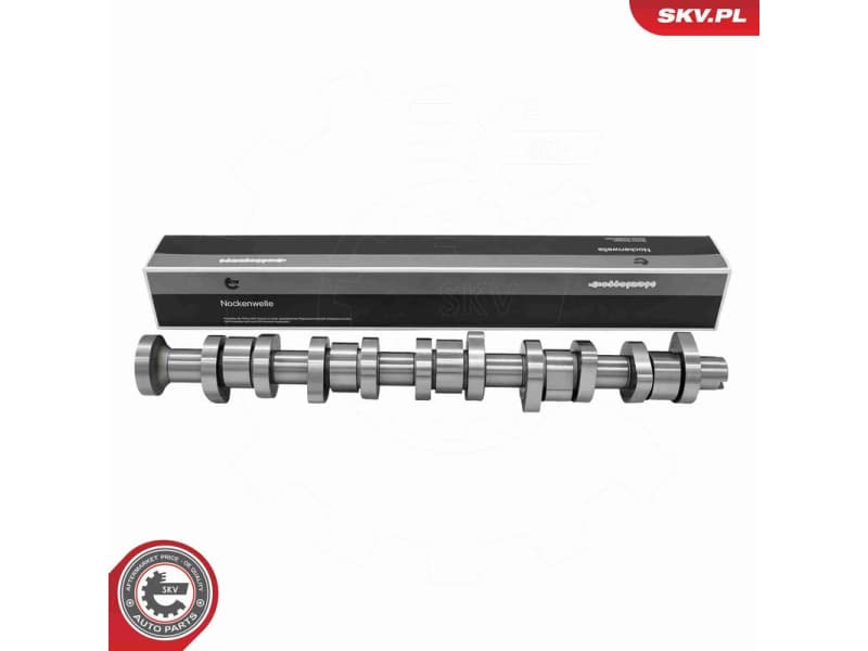 Camshaft 80SKV006