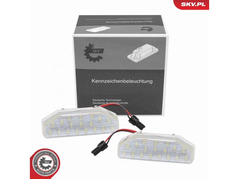 Licence Plate Light 72SKV581