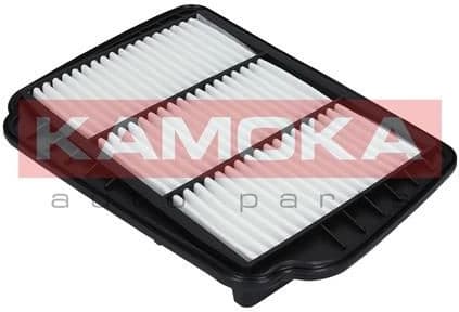 Air Filter F223001