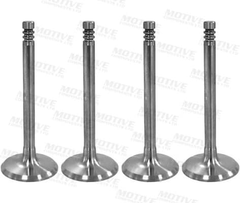 Intake Valve IV5401