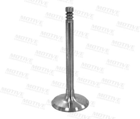 Intake Valve IV5401 - image 2