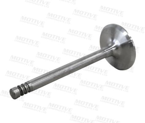 Intake Valve IV5401 - image 3