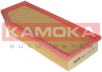 Air Filter F209801 - image 4