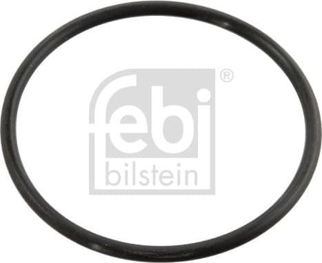 Seal, thermostat 10258