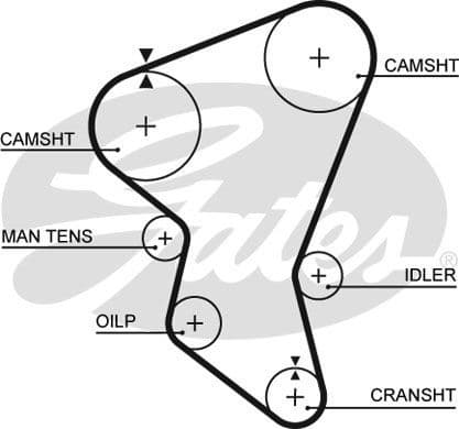 Timing Belt PowerGrip™ 5171XS - image 2