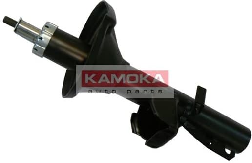 Shock absorber rear 20334107F