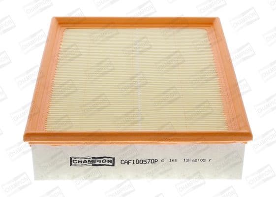 Air Filter CAF100570P