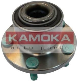 Bearing wheel 5500065