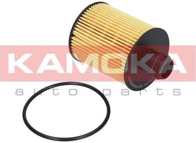 Filter oil F111701