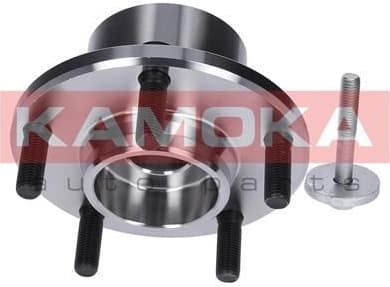 Wheel Bearing Kit 5500122