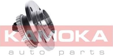 Wheel Bearing Kit 5500006 - image 3