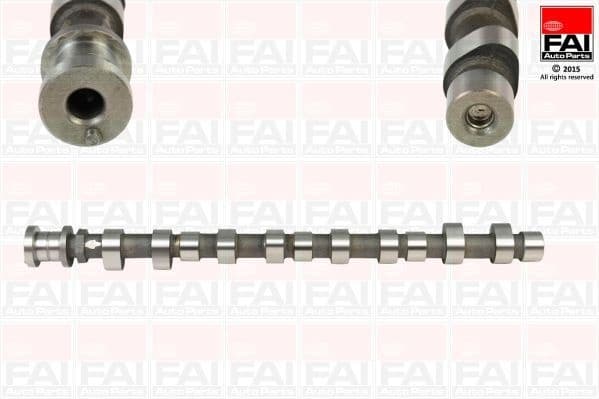 Camshaft C289