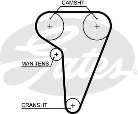 Timing Belt PowerGrip™ 5549XS