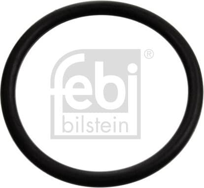 Seal, thermostat 17970