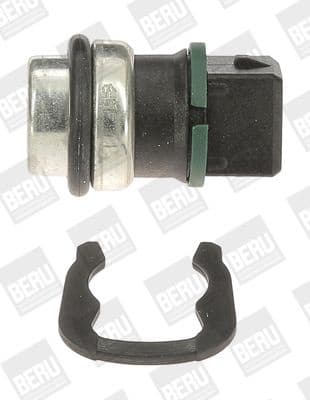 ST 031 (BorgWarner (BERU))