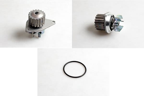 Water Pump, engine cooling P804