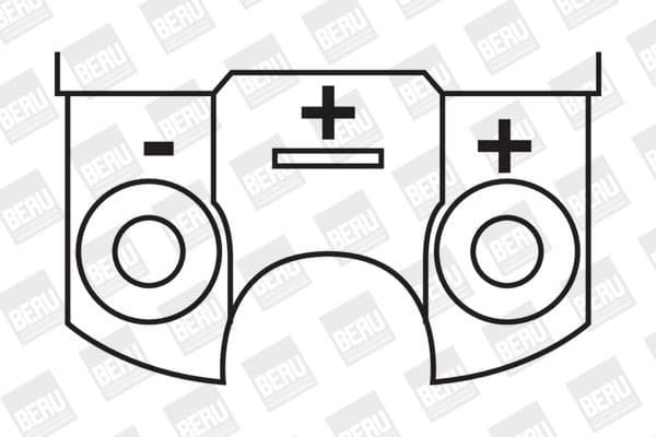 ZS 316 (BorgWarner (BERU)) - image 2