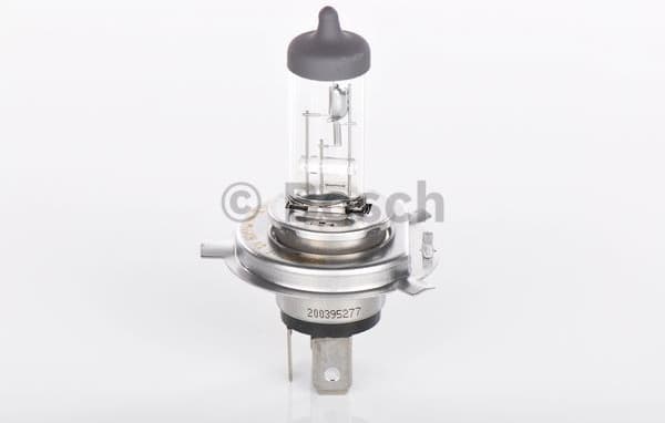 Bulb, front fog light Pure Light WS 1987302041