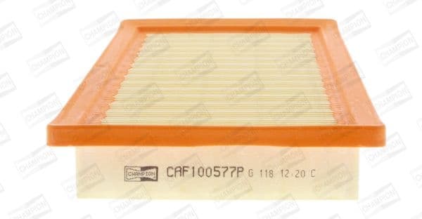 Air Filter CAF100577P