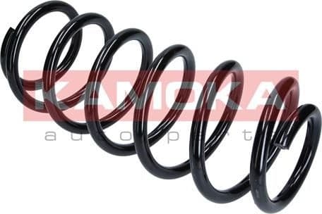 Coil spring 2110329
