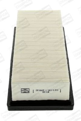 Air Filter CAF100647P