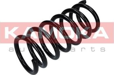Coil spring 2120302
