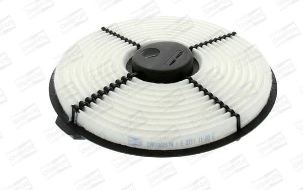 Air Filter CAF100211R