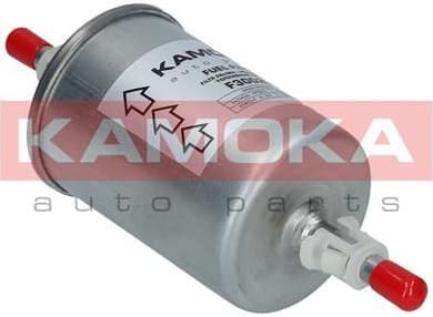 Fuel Filter F300201 - image 2