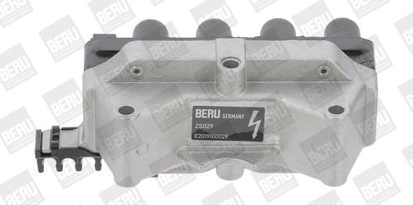 ZS 029 (BorgWarner (BERU))