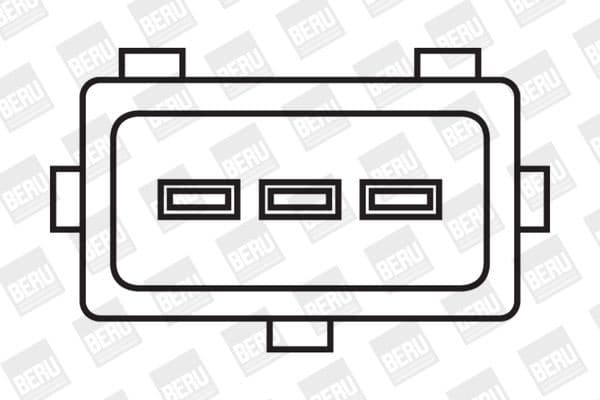ZS 029 (BorgWarner (BERU)) - image 2