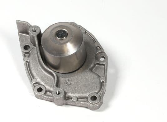 Water Pump, engine cooling P955