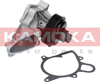 Water Pump, engine cooling T0060