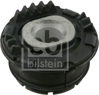 Bushing, axle beam 22450